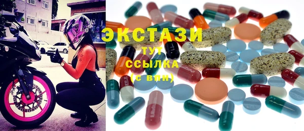 ECSTASY Бородино